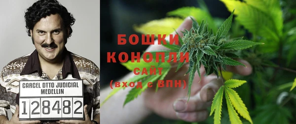стафф Абаза