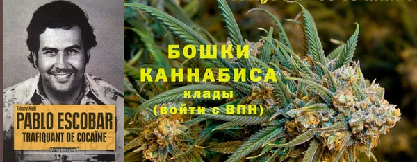 стафф Абаза