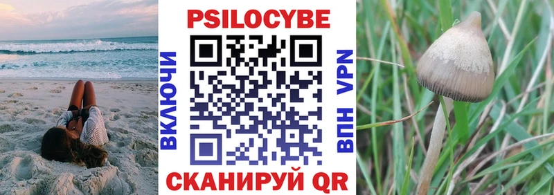 Галлюциногенные грибы Psilocybine cubensis  сколько стоит  Черемхово 