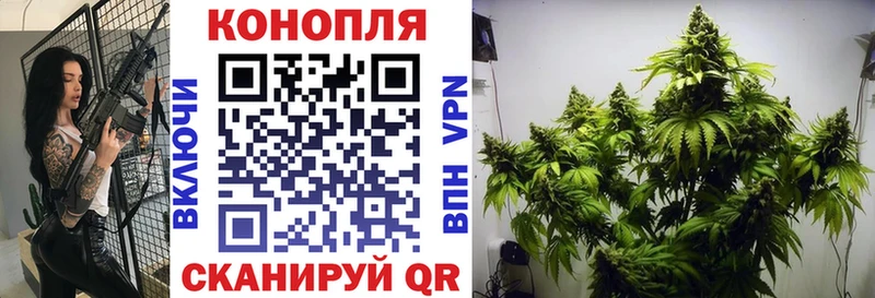 Каннабис гибрид  ссылка на мегу как зайти  Черемхово 